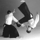 Aikido Shugyokan