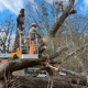 Spartan Tree Elimination