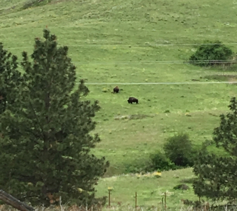 Bison Range - Charlo, MT