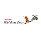 Wild Goose Chase