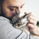 Red Barn Vet Care - Veterinarians