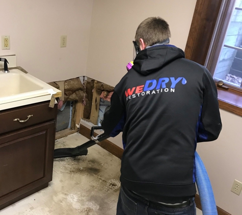 weDRY - Water, Mold, & Fire Services - Auburn Hills, MI