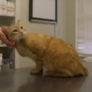 Alvin Animal Clinic - Pet Services