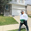 Bliss Pest Services gallery