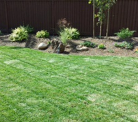 Paradise Landscape & Maintenance - Walnut Creek, CA