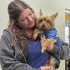 Avalon Pet Wellness Clinic gallery