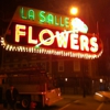 Best Neon Sign gallery