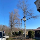W&C Tree and Land Services