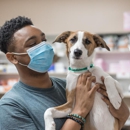 The Pet Hospitals - Veterinarians