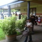 Yountville Elementary