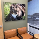 CityVet | Saratoga Springs Veterinary Clinic & Urgent Care - Veterinarians