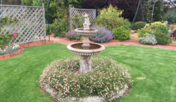 West Coast Funerals - Coomunga, SA. Bird bath underplanted with Erigeron (Seaside Daisy).