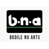 Bodile Nu Arts gallery