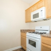 Plum Tree Apartments gallery