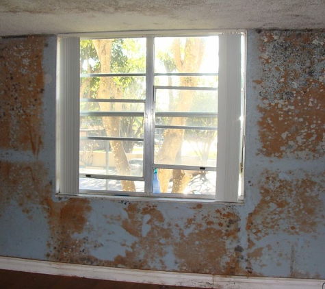 A Accredited Mold Inspection Service, Inc.. Mold on colorful blue window wall in a Miami condo. Photo taken by A Accredited Mold Inspection Service.