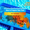 Crocodile Pools gallery
