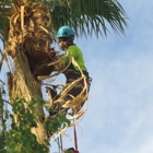 Tree Pros