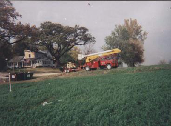 Huston's Tree Service - Saint Paul, MN