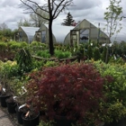 Begick Nursery & Garden Center