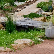 Gallery Image Number 2