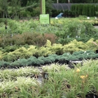 Spring Valley Nursery