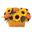 Pepe's Flowers - General Merchandise