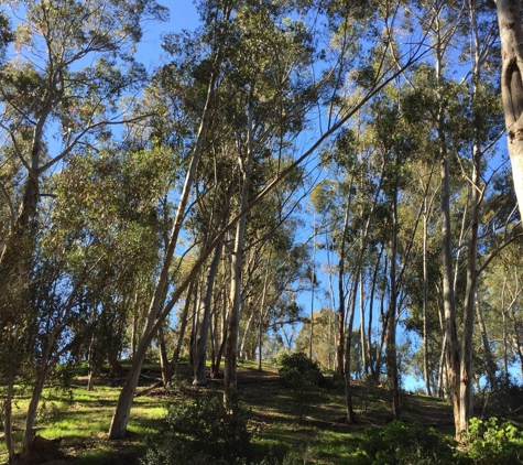 Balboa Park Golf Course - San Diego, CA