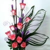 MARSHFIELD BLOOMS gallery