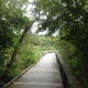 Mass Audubon Broadmoor Wildlife Sanctuary