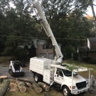 Jungle Jim's Tree Service, Inc.