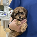 VCA All Pet Animal Hospital/Taylorsville - Veterinarians