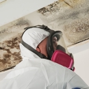 Mold Rx Restoration - Mold Remediation