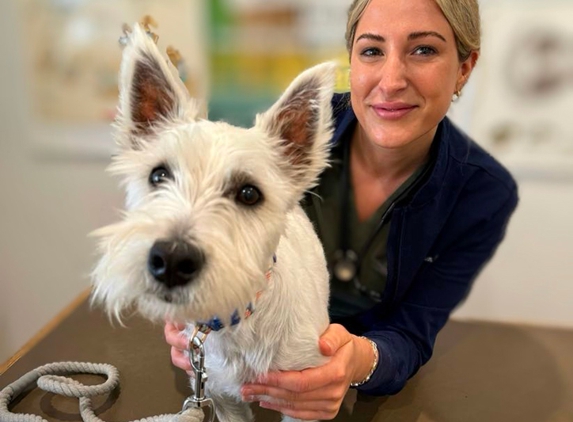 Grange Veterinary Clinic