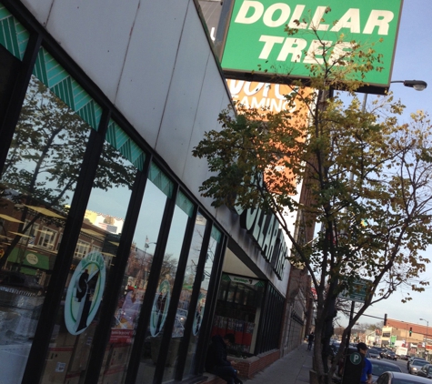 Dollar Tree - Chicago, IL