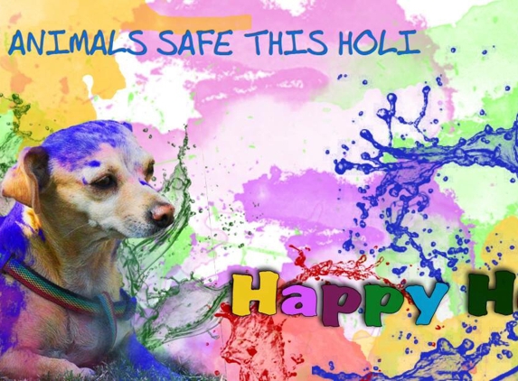 Royal dog Chew - Fort Washington, PA. ‪Hope your life is framed with all the colors of love and happiness today and always‬
‪This holi, we request you to spare the speechless. Colors are not for them.‬
‪Have a wonderful and a safe Holi. Happy Holi ‬
‪#Happyholi #happydog #festivalofcolors #royaldogchew #himalayanyakdogchew ‬