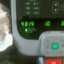 Family YMCA of Marion and Polk Counties - Community Organizations