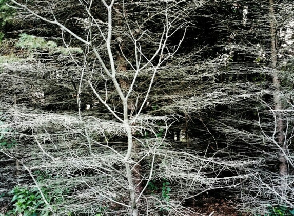 West Lake Nature Preserve - Portage, MI