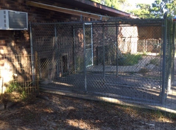 Beltara Kennels Akc Reg - Leesburg, FL