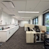 Schonsheck Inc gallery