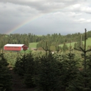Spring Valley Family Tree Farm - Christmas Trees