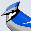 Blue Jay Tax gallery