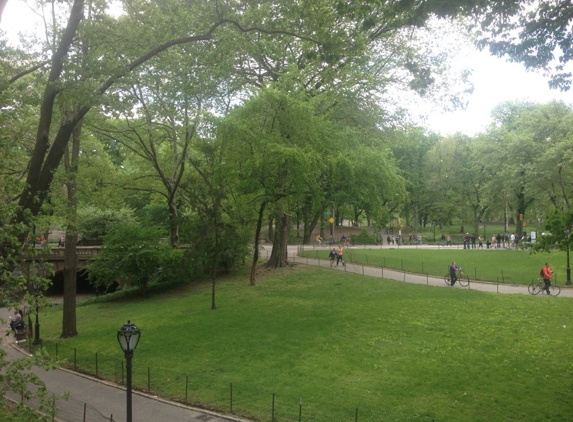 Central Park Dentists - New York, NY