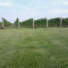 Roanoke Vineyards