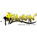 Slangin Sound and Tint - Automobile Customizing