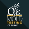 O2 Mold Testing of Burke gallery