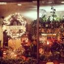 I Ricchi - Italian Restaurants