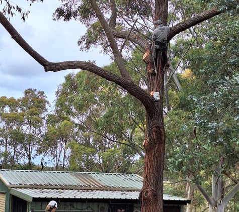 Cape Tree Service Mount Barker, Porongurup and Kendenup - Mount Barker, WA