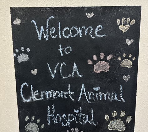 VCA Clermont Animal Hospital - Clermont, FL