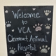 VCA Clermont Animal Hospital