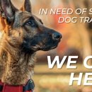 Dog Training Elite Greater Tampa - Pet Training